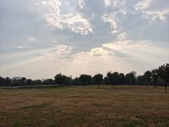 -汉长安城未央宫国家考古遗址公园