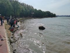 -丁香湖公园