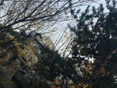 -西安曲江寒窑遗址公园
