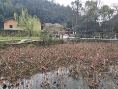 -韶山毛泽东同志故居