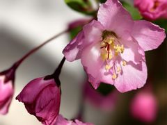 -小湾茶楼