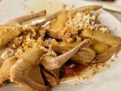 -百利鸽王(紫薇路店)