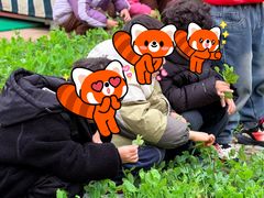 -耶鲁联谊幼儿园