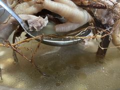 -红炎炎农家菜老字号(金水台店)