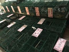 -荔城生鲜盛宴(番禺旗舰店)