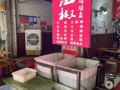 -金海椒罐罐鲢鱼(东方桂苑店)