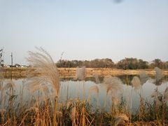 -梁鸿国家湿地公园