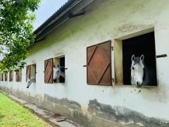 -松声马术俱乐部