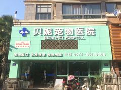 -贝妮宠物医院