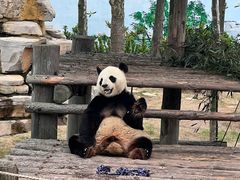 -西霞口神雕山野生动物世界