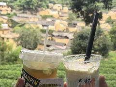 -杨家堂村