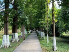 -花溪公园