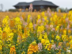 -中国天府农业博览园