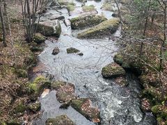 -汤旺河林海奇石景区