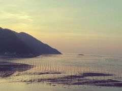 -北岐滩涂