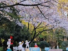 -杭州少年儿童公园
