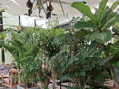 -北马山庄植趣咖啡