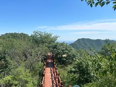 -大岭沟猕猴桃谷风景区