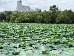 -长春市南湖公园