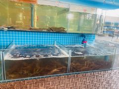 -蓝珊甄选海鲜自助·火锅大排档(近阿那亚店)