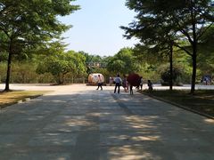 -广东茂名森林公园