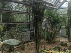 -南山植物园