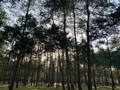 -Club Med地中海俱乐部·桂林度假村