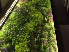 -炭舍干锅·烤鱼(扬名广场店)