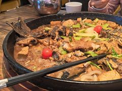 -老板恋上鱼(印象城店)