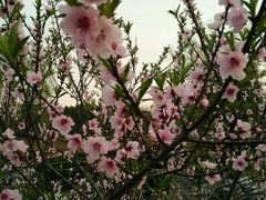 -锦江之星(上海松江大学城店)