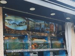 -浔味·山屿湖·正宗全鱼宴老字号