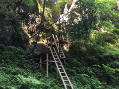 -神农大峡谷景区