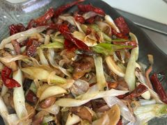 -蘑统田下·野生菌火锅