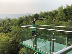 -陶祖圣境风景区