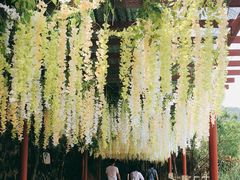 -四会奇石河风景区
