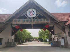 -上海海湾国家森林公园