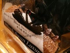 android_upload_pic-BLACKSWAN黑天鹅(环球店)