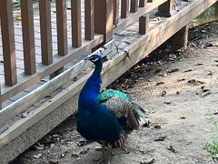 -沈阳鸟岛