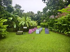 -大象粑粑造纸公园