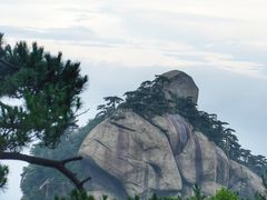 -天柱山风景区