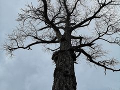 -狼山风景名胜区