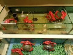 -宜宾海鲜酒家·三十年老字号