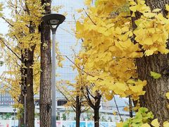 -百林公园-两江幸福广场