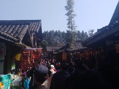 -秀丽东方