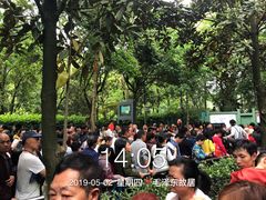 -韶山毛泽东同志故居