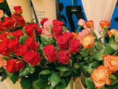 -龟兹KUCINA·新疆菜(前滩L+PLAZA店)