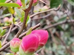 -幕燕滨江·燕子矶公园