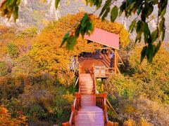 -大岭沟猕猴桃谷风景区