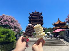 -黄鹤楼公园(黄鹤楼)