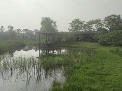 -尚贤河湿地